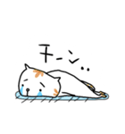 しろくまの日常、時々ねこ（個別スタンプ：36）