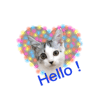 ミロちゃんスタンプ（個別スタンプ：1）