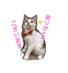 ミロちゃんスタンプ（個別スタンプ：3）