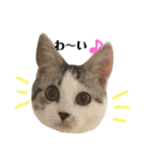 ミロちゃんスタンプ（個別スタンプ：8）