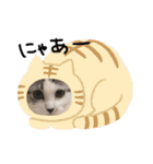 ミロちゃんスタンプ（個別スタンプ：9）