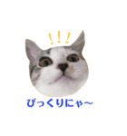 ミロちゃんスタンプ（個別スタンプ：21）