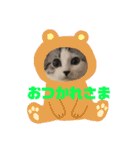 ミロちゃんスタンプ（個別スタンプ：31）