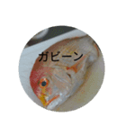 動物たちが反応するスタンプ（個別スタンプ：7）