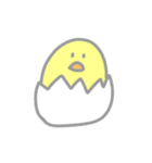 ひよこちゃん。（個別スタンプ：1）