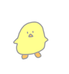 ひよこちゃん。（個別スタンプ：13）