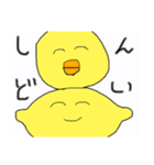 毎日を生きる、ヒナレモン（個別スタンプ：13）