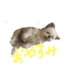 きくちfamily（個別スタンプ：2）