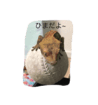 私の家族達（個別スタンプ：2）