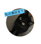私の家族達（個別スタンプ：5）