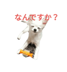 くぅ～（個別スタンプ：4）