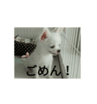 くぅ～（個別スタンプ：5）