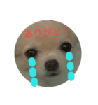 くぅ～（個別スタンプ：6）