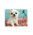くぅ～（個別スタンプ：8）