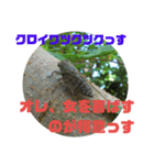 セミの本音（個別スタンプ：8）