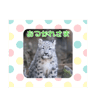 ミミフクスタンプ 第2弾チビフク編（個別スタンプ：5）