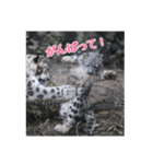 ミミフクスタンプ 第2弾チビフク編（個別スタンプ：22）