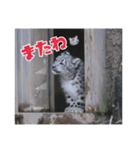 ミミフクスタンプ 第2弾チビフク編（個別スタンプ：27）