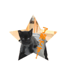 可愛い！使える！猫の写真 スタンプ（個別スタンプ：7）