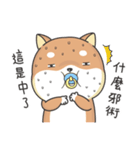 Shiba Inu Pipi just a baby（個別スタンプ：7）