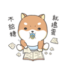 Shiba Inu Pipi just a baby（個別スタンプ：8）