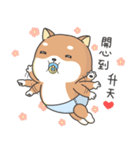 Shiba Inu Pipi just a baby（個別スタンプ：9）