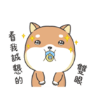 Shiba Inu Pipi just a baby（個別スタンプ：10）