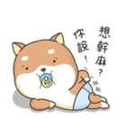 Shiba Inu Pipi just a baby（個別スタンプ：11）