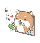 Shiba Inu Pipi just a baby（個別スタンプ：14）