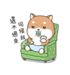 Shiba Inu Pipi just a baby（個別スタンプ：15）