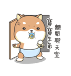 Shiba Inu Pipi just a baby（個別スタンプ：17）