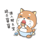 Shiba Inu Pipi just a baby（個別スタンプ：18）