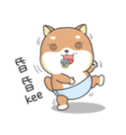 Shiba Inu Pipi just a baby（個別スタンプ：20）