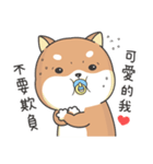 Shiba Inu Pipi just a baby（個別スタンプ：21）