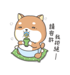 Shiba Inu Pipi just a baby（個別スタンプ：23）