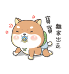 Shiba Inu Pipi just a baby（個別スタンプ：24）