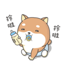 Shiba Inu Pipi just a baby（個別スタンプ：26）