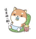 Shiba Inu Pipi just a baby（個別スタンプ：32）