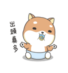 Shiba Inu Pipi just a baby（個別スタンプ：33）