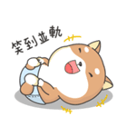 Shiba Inu Pipi just a baby（個別スタンプ：34）