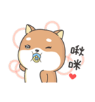 Shiba Inu Pipi just a baby（個別スタンプ：35）