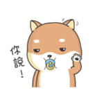 Shiba Inu Pipi just a baby（個別スタンプ：36）