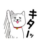 飼い猫たまの日常編2（でか文字）（個別スタンプ：24）