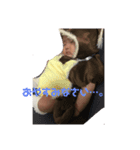 ブッチの日常（個別スタンプ：3）