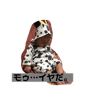 ブッチの日常（個別スタンプ：4）