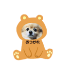 ペロのスタンプ！（個別スタンプ：7）