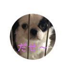 こぐとひぐとゆかいな仲間たち（個別スタンプ：7）