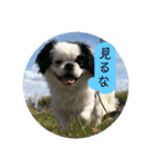 こぐとひぐとゆかいな仲間たち（個別スタンプ：10）