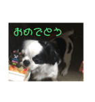こぐとひぐとゆかいな仲間たち（個別スタンプ：15）