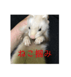 こぐとひぐとゆかいな仲間たち（個別スタンプ：18）